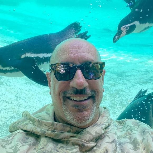 Posh Ambassador. Highly rated⭐️. Quick shipper. - Picture 3 of 8